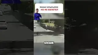 Надеюсь ЗА РУЛЬ МАШИНЫ он НЕ САДИТСЯ 🤣