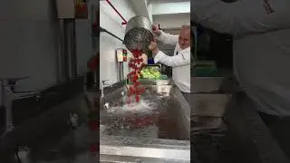 Salata Hazırlarken Sebzelerimizi Özenle Yıkıyoruz !