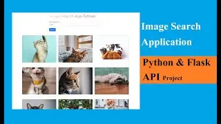 Image Search App with API | Python Flask Project