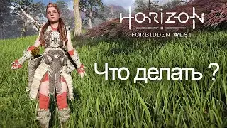 Horizon Forbidden West / Что делать?