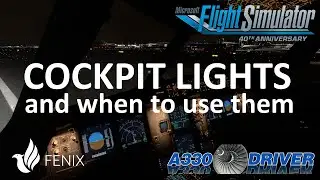 A320 Family COCKPIT LIGHTS explained and WHEN to use WHAT | Real Airbus Pilot