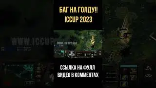 ICCUP НОВЫЙ БАГ! ЩИТКОВЫЙ БАГ НА ГОЛДУ!