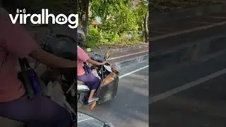 Dogs Ride on Motorcycle in Bali || ViralHog