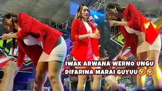 DIFARINA INDRA❗JOKO TINGKIR DK MUSIC TOMPO MULYO batangan pati