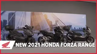 The New 2021 Honda Forza Range