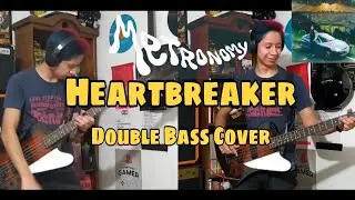 Heartbreaker - Metronomy / Double Bass Cover