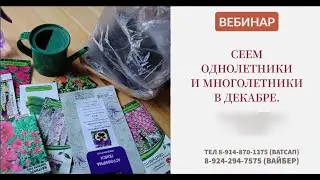 Фрагмент записи вебинара. Что можно посеять в декабре. Однолетники и многолетники. Трусова Татьяна
