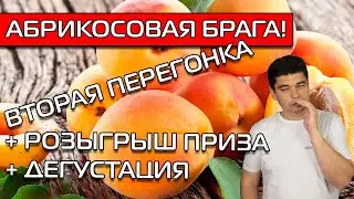 АБРИКОСОВАЯ БРАГА! ВТОРАЯ ПЕРЕГОНКА И ДЕГУСТАЦИЯ