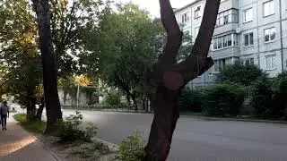 ГАНТЭЛЯ В КАЛУГЕ... Улица Суворова Рылеева Плеханова Торговый центр 21-й век тц гантеля летом днём