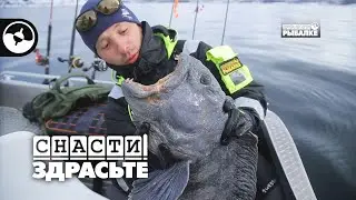 Как поймать зубатку в Норвегии | Снасти, здрасьте!