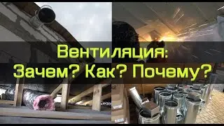 Самая дорогая вентиляция для голубей