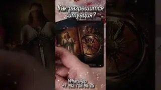 Как разрешится ситуация? Таро