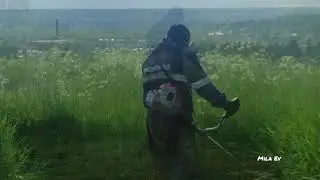 19.06.2024. Природа Подосиновского района. Лето на русском севере. Кировская область.