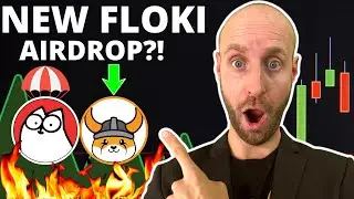 🔥FLOKI AND TOKENFI HOLDERS TO RECEIVE A NEW MEMECOIN AIRDROP?! (TIME SENSITIVE!!)