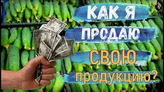 КАК Я ПРОДАЮ СВОЙ ТОВАР БЕЗ ПЕРЕКУПОВ И ГДЕ НАЙТИ СБЫТ?!