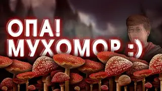 Мухоморы и магазин 