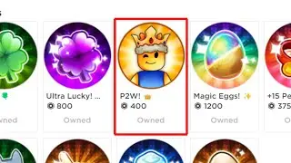 I BOUGHT ALL THE GAMEPASS IN PET SIMULATOR 99!