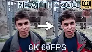 ME AT THE ZOO 8K 60FPS🐘🐘🐘