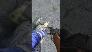 I found a battle buddy in DayZ
