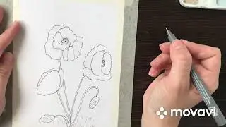 Маки. Рисовала маки по видео уроку.