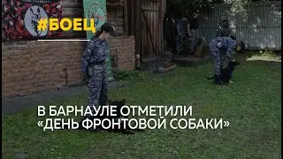 День фронтовой собаки отметили в Барнауле