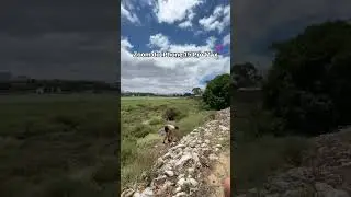 Zoom do iPhone 15 Pro Max! 