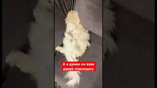Мама даже не проснулась, а я думал он взял рукой стекловату