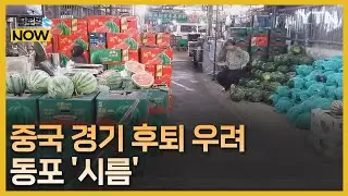 과일값은 오르고 경기는 뒷걸음…중국 한인 사회도 시름 [글로벌 NOW] / YTN korean