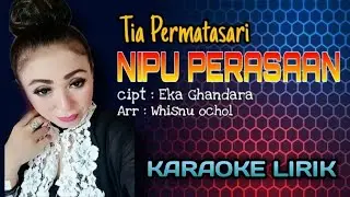 NIPU PERASAAN - TIA PERMATASARI ( KARAOKE LIRIK )
