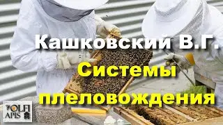 #Кашковский