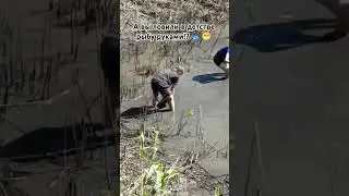 А вы ловили в детстве руками рыбу?? 🐟😁