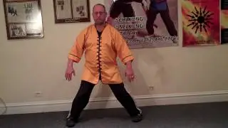 CK2) Condensing Breathing - Tidal Wave™ Chi Kung Lesson 1, Part 2 by Gary J. Clyman