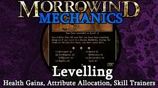 Levelling - Morrowind Mechanics