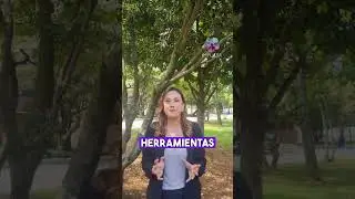 Bienvenido a la Comunidad Impulsa