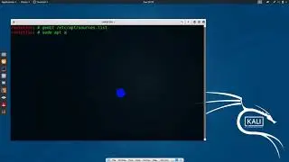 How to Fix Kali Linux error 404 File not found and Fetch Failed