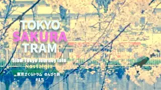 TOKYO SAKURA TRAM 🌸🚃 Slow Tokyo Journey into Nostalgia ~東京さくらトラム のんびり旅 #15  #japanvlog #LoFiVLOG