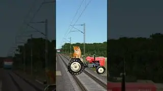 Tractor cat train and save to elephant & funny vfx video