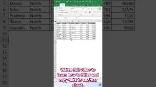 Use AUTOFILTER method to filter and copy data in excel 