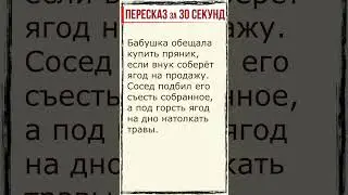 Конь с розовой гривой. Пересказ за 30 секунд. 