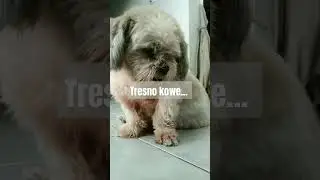Nangis aku bro.. 