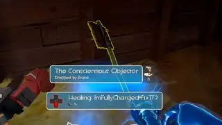 Conscientious Objector №529 | TF2