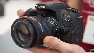 5 Best Cameras for Photography 2021