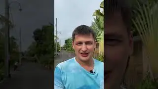 Давай просто поспорим