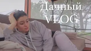 Дачный VLOG // Тур по даче и двору // Армянские посиделки с родными