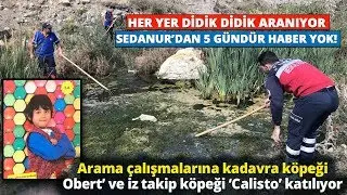 Kağızman'da Kaybolan 9 Yaşındaki Sedanur'u Arama Çalışmalarına Devam Ediliyor!