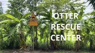 Otter Conservation Center In Vietnam