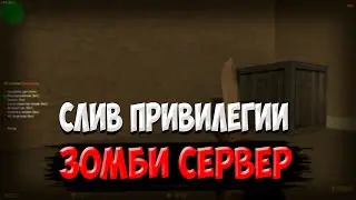 🔥 СЛИВ ПРИВИЛЕГИИ НА ЗОМБИ СЕРВЕРЕ 🔥 CS 1.6 🔥