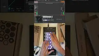 Exquis - @Ableton Live 12 "Objectivism Drone" #midi #mpe #ableton #abletonlive #controller #daw