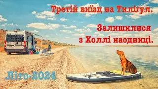 #літо2024. Залишилися з Холлі наодинці та поїхали на #тилигул. #vanlife #спаниель   HD 1080p