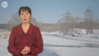 География 8 класс.  Реки и моря нашей страны